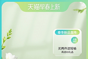 纯边框电商主图模板